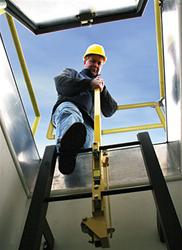 Bilco Ladder Safety Post - As Low As